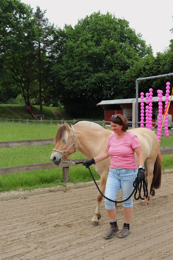 Pferd beim Gelassenheitstraining