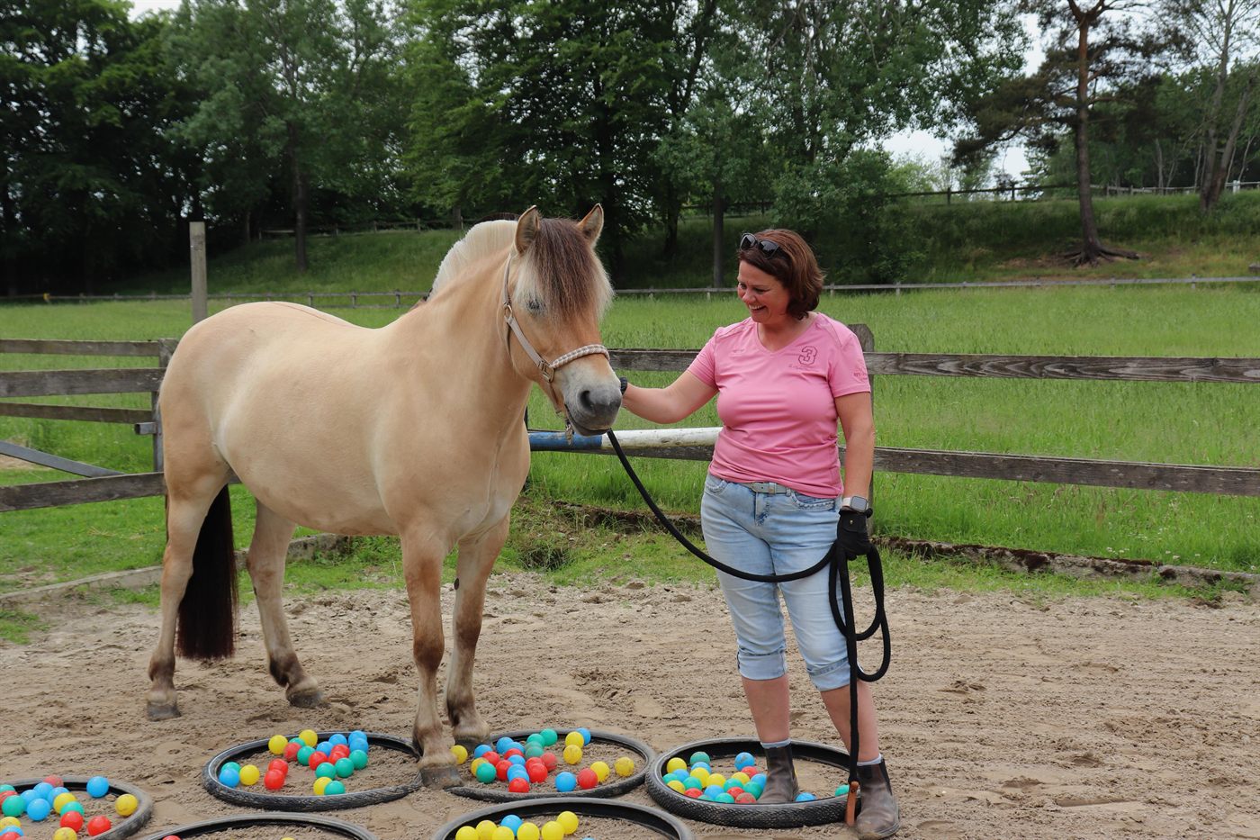 Gemeinsame Arbeit mit einem Pferd