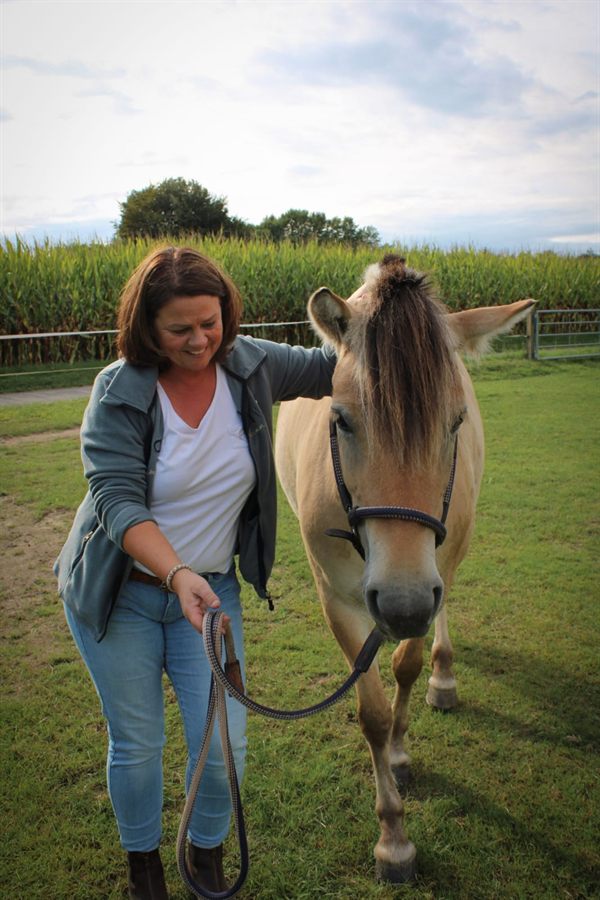 Reittherapie mit Pferd