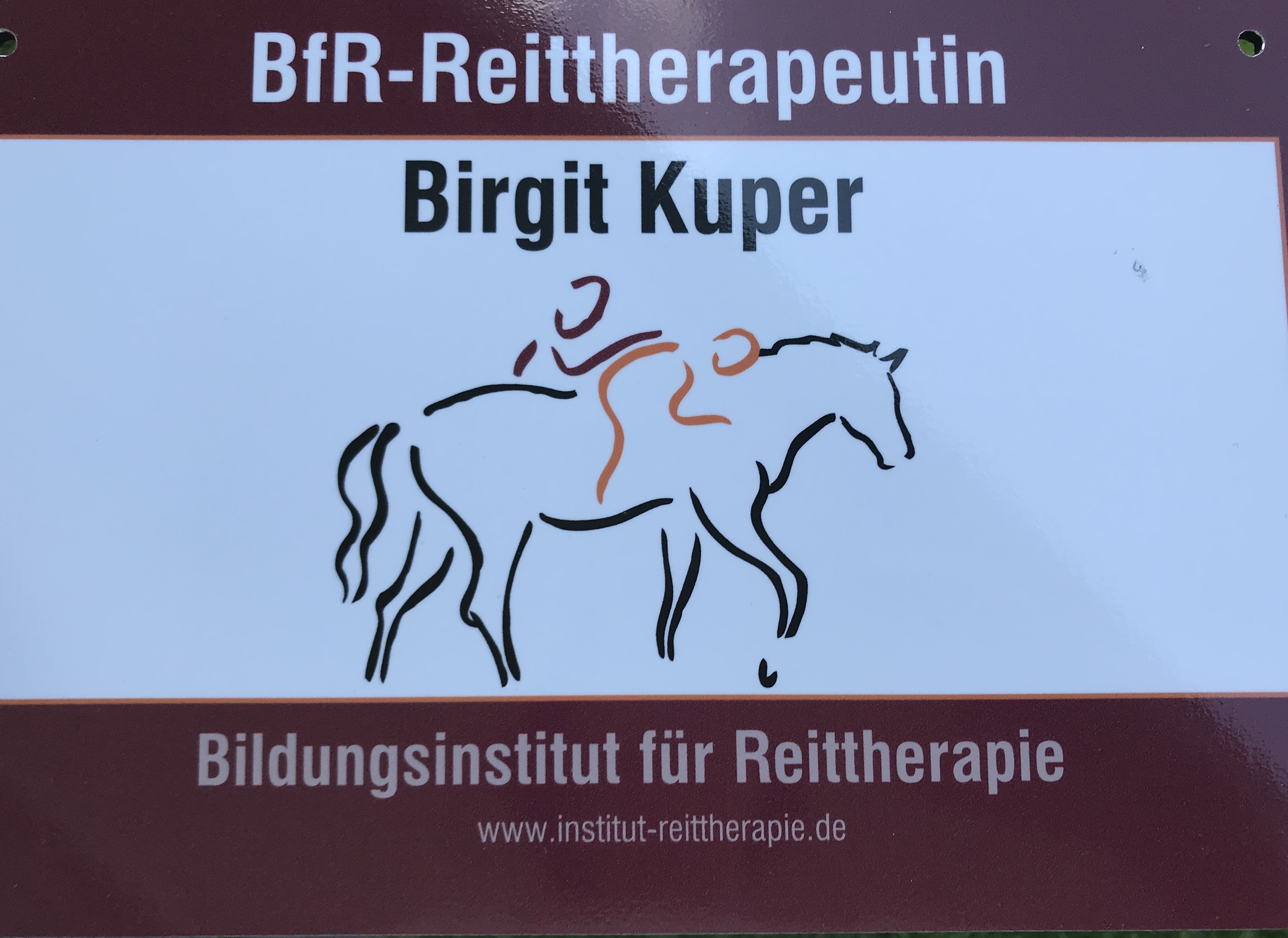 Zertifikat Reittherapie Birgit Kuper